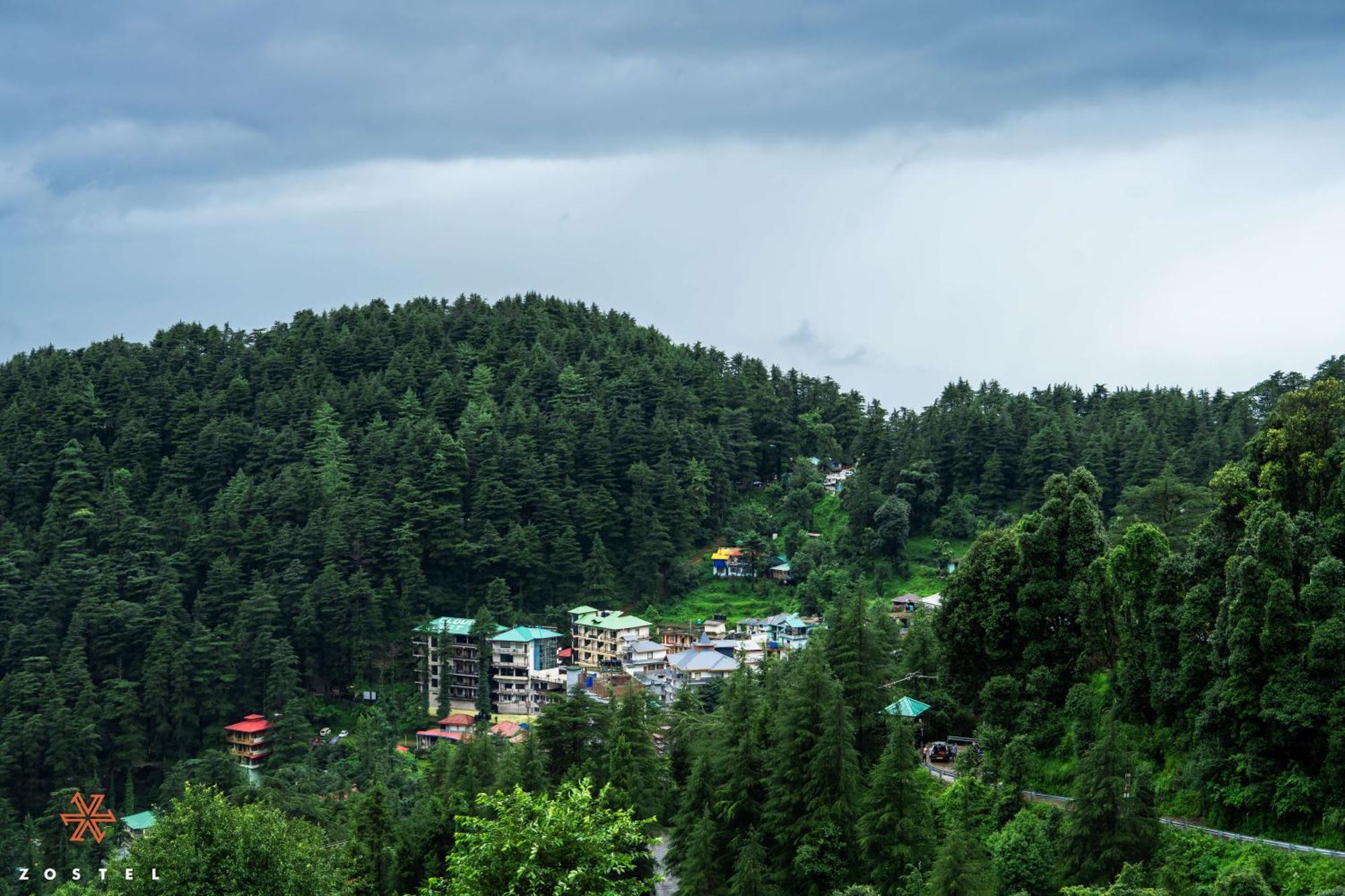 Zostel Dharamkot Vandrarhem McLeod Ganj Exteriör bild