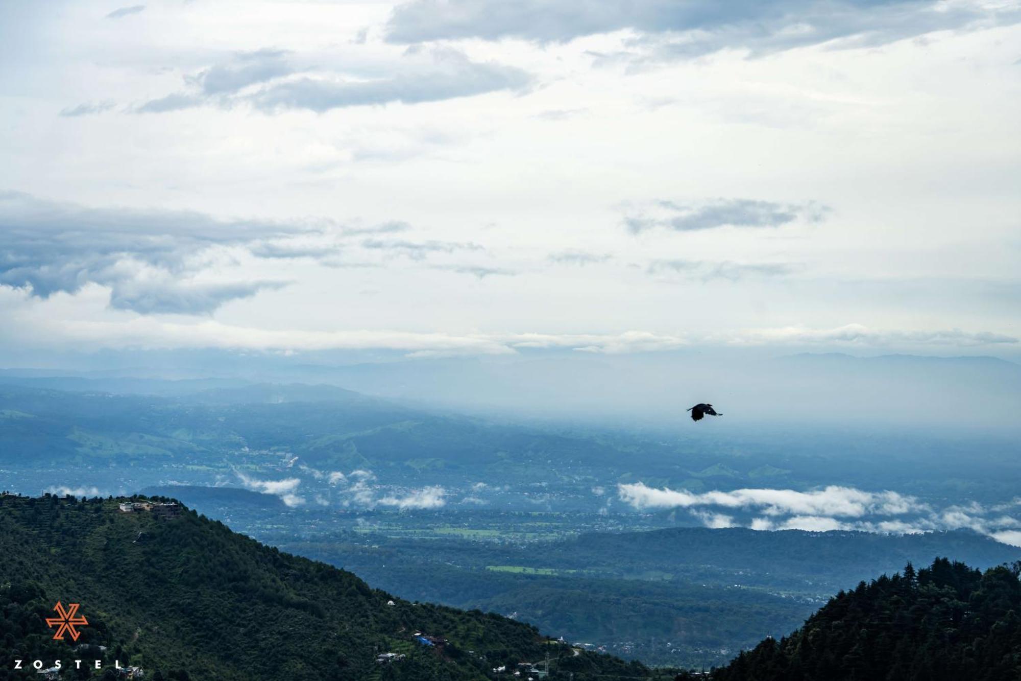 Zostel Dharamkot Vandrarhem McLeod Ganj Exteriör bild